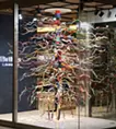 Roots