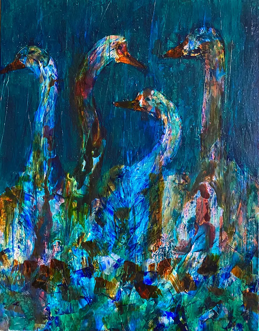 Ducks by 高山康平