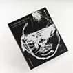 特別原画作品入りエディション版 / FLASH AND THE PAIN / 痛みと光 / Toshiaki Tashiro Art Works 1995-2020