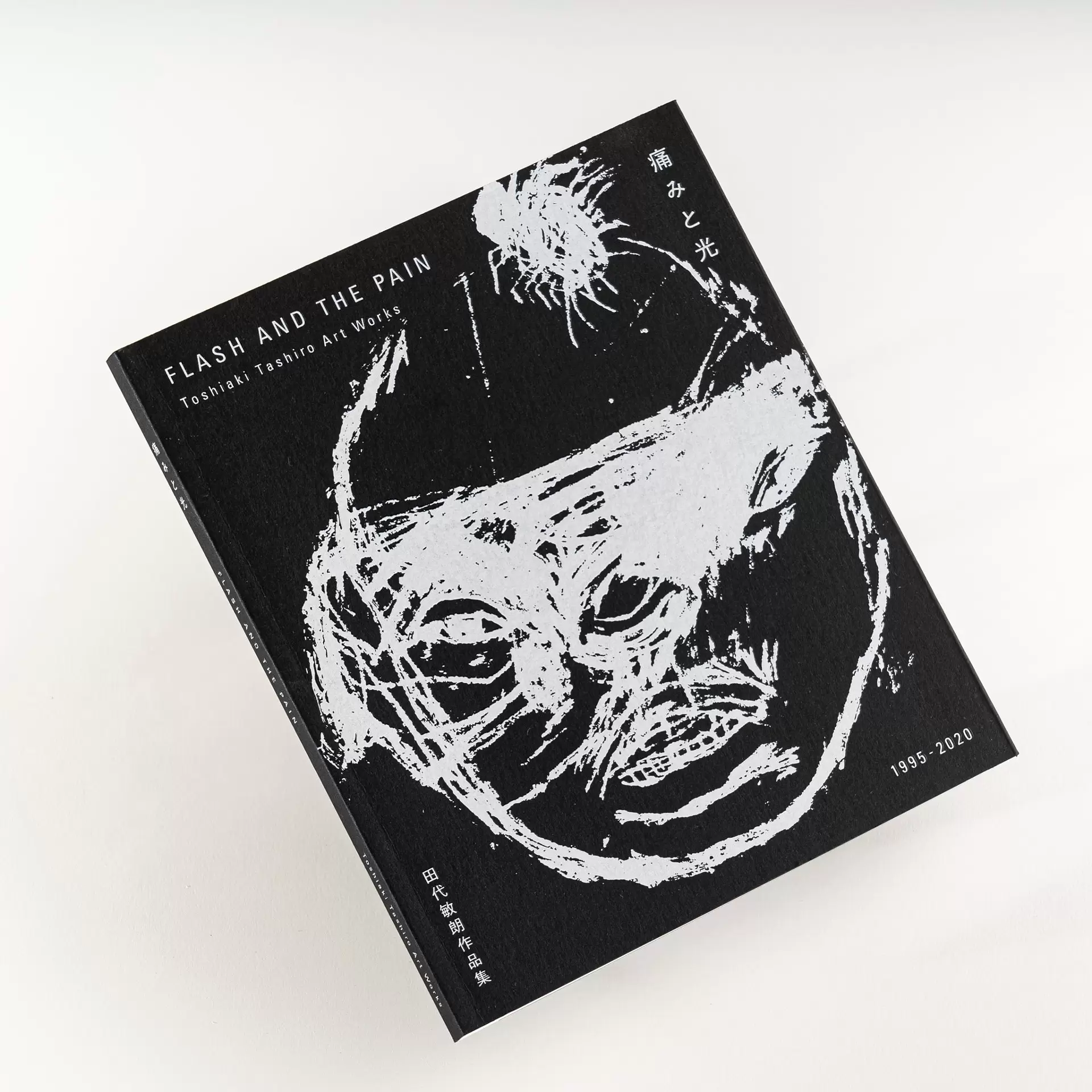 特別原画作品入りエディション版 / FLASH AND THE PAIN / 痛みと光 / Toshiaki Tashiro Art Works 1995-2020
