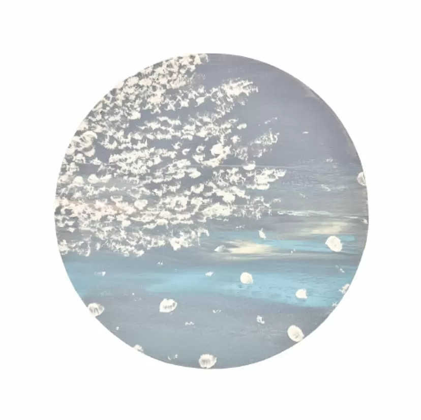 SAKURA 2508041 by 大橋 澪