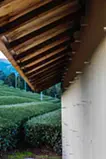 うつりかわりの茶小屋