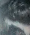接吻