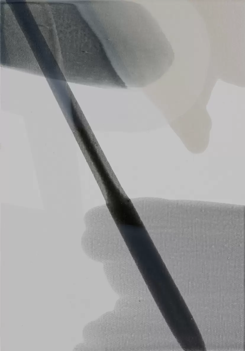 DIVING/Light 2026 SM-02 by 中島 麦