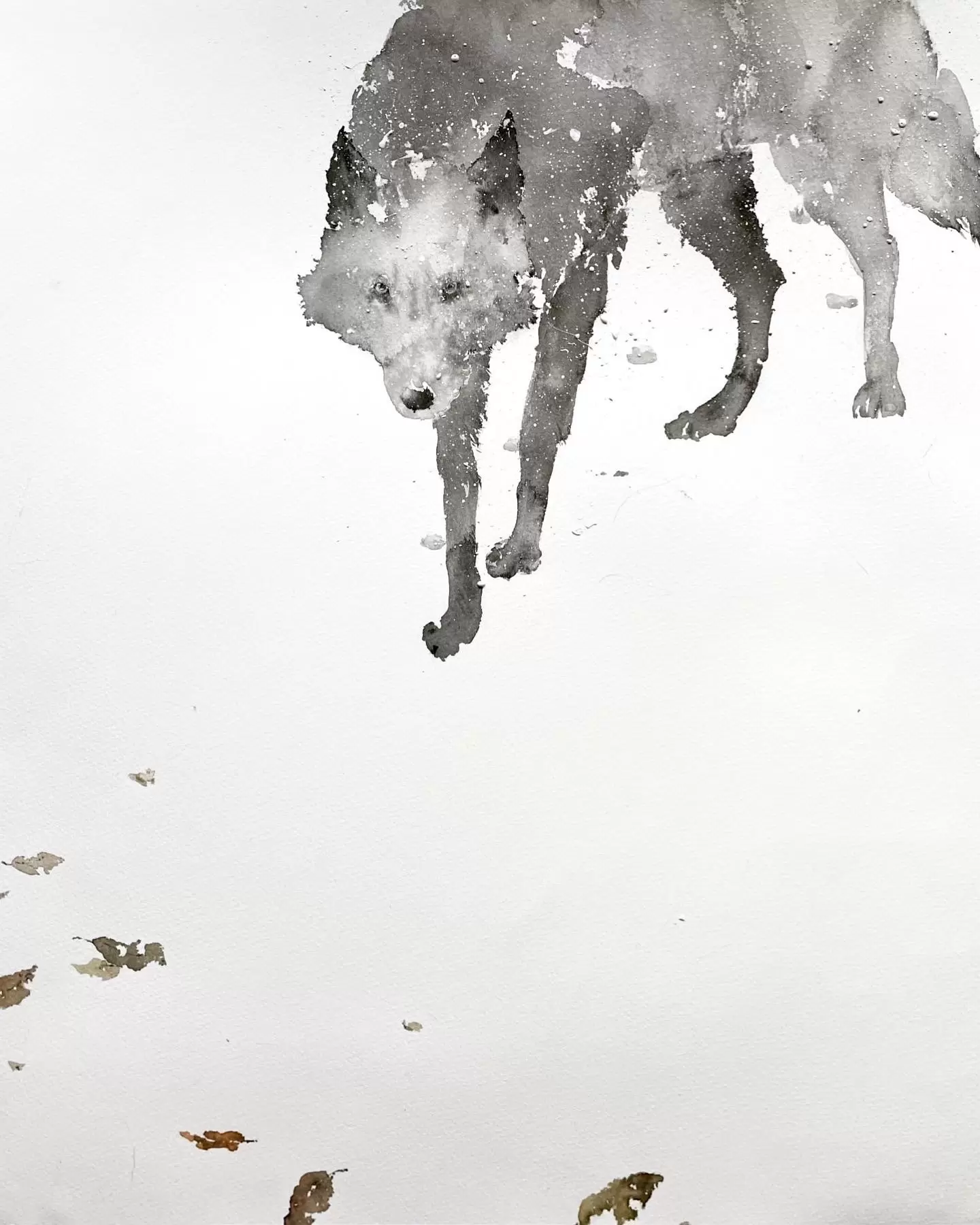 Wolf 3