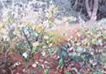Blooming