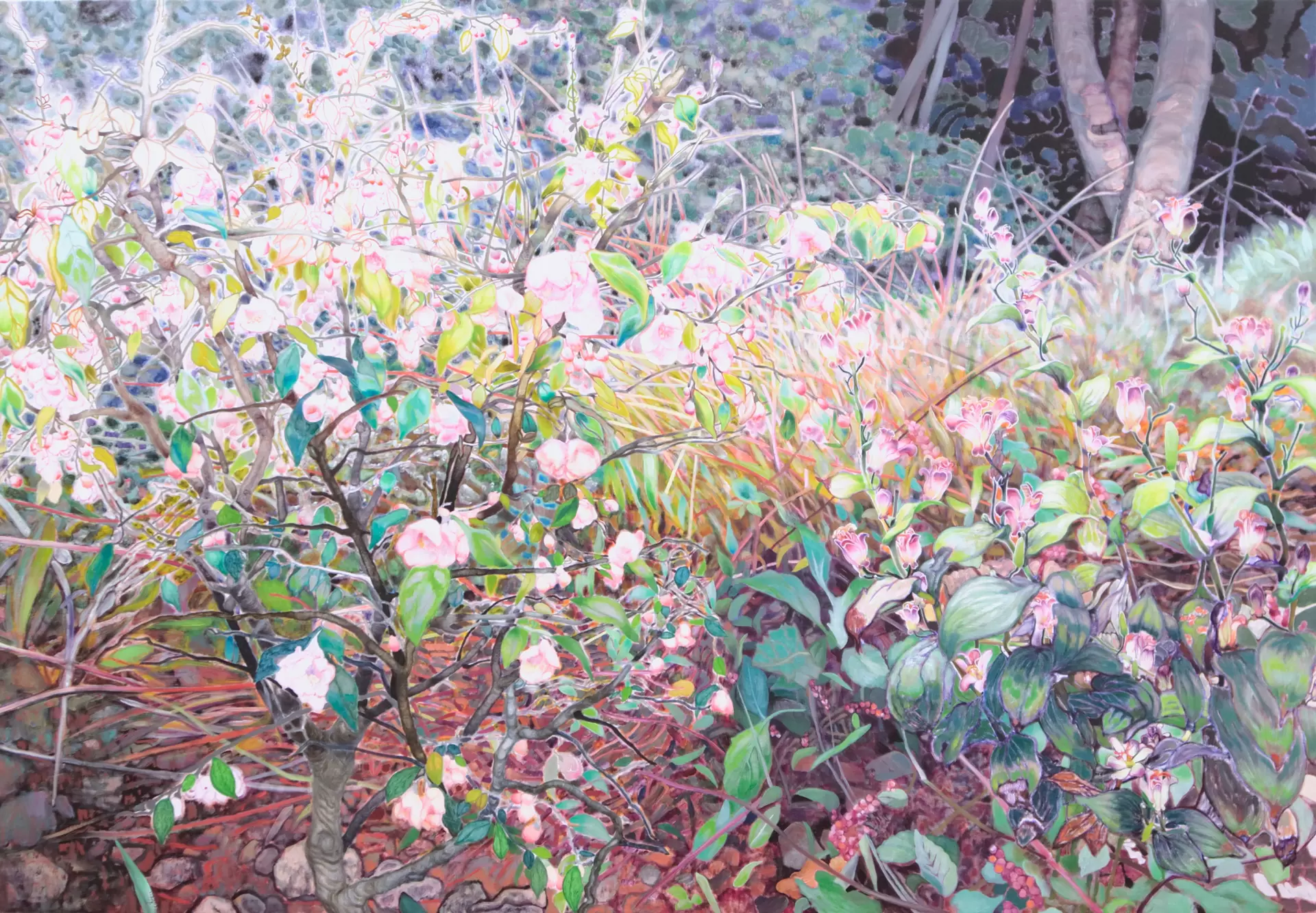Blooming