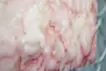 SKIN L-1