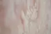 SKIN L-1