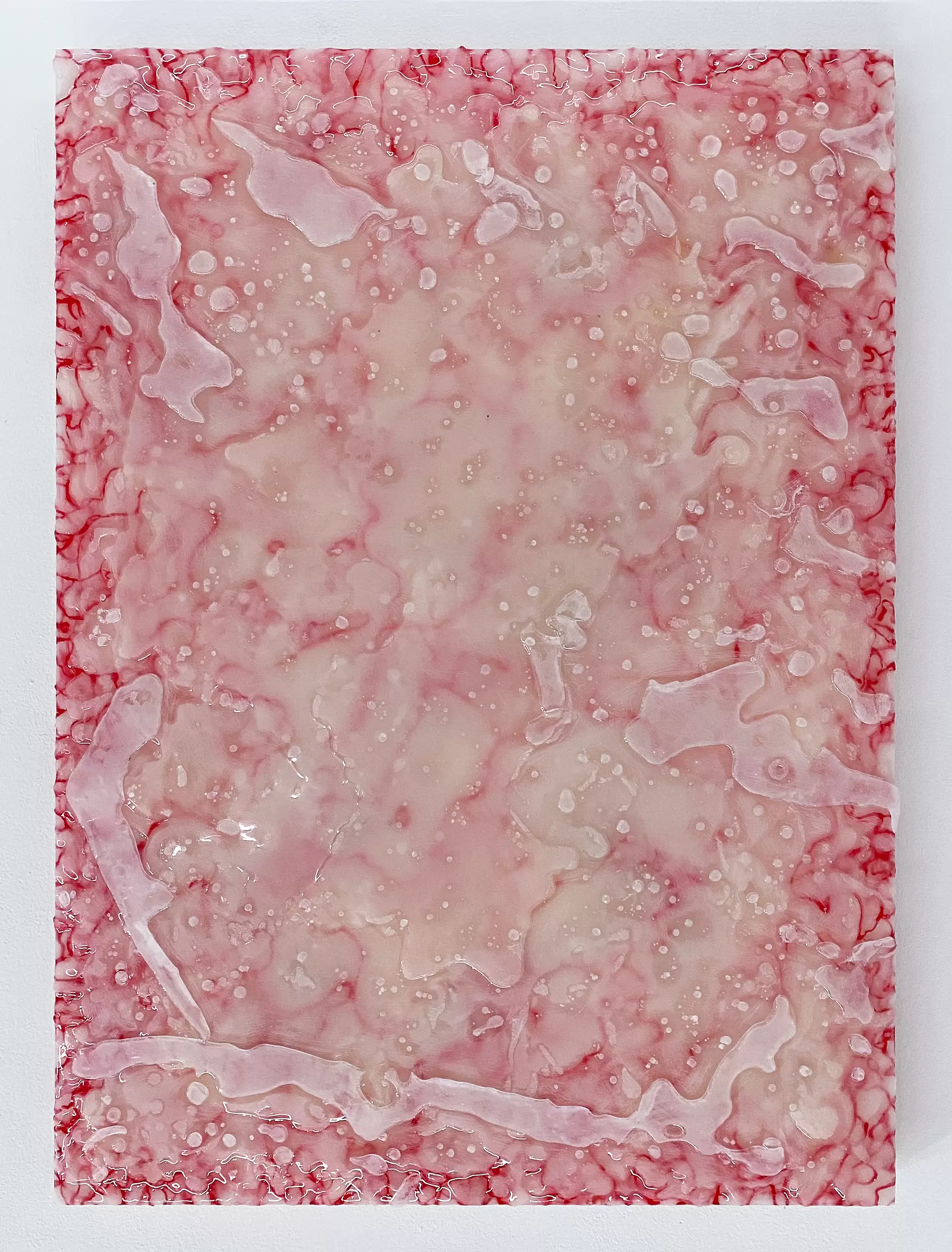 SKIN L-2