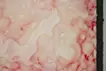 SKIN L-2