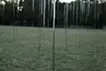 通り雨（万博記念公園）