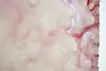 SKIN  S-9