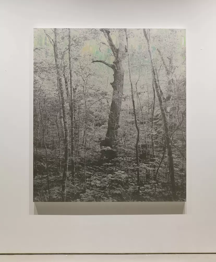 Mirage #133 by Masayoshi Nojo