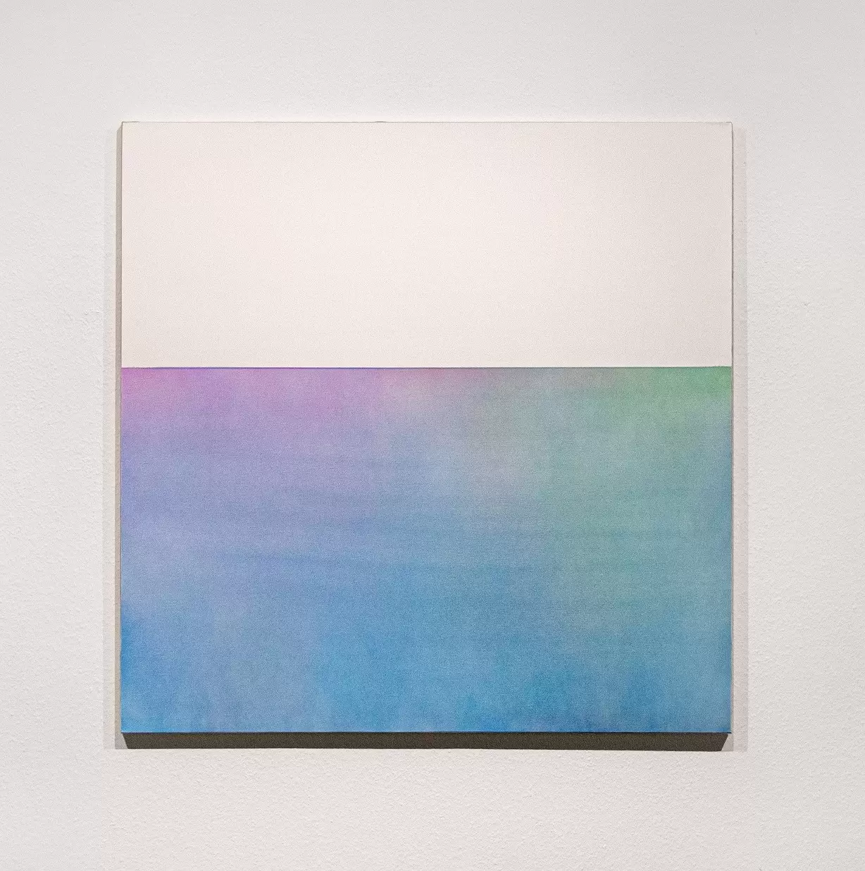 Introspection S4009