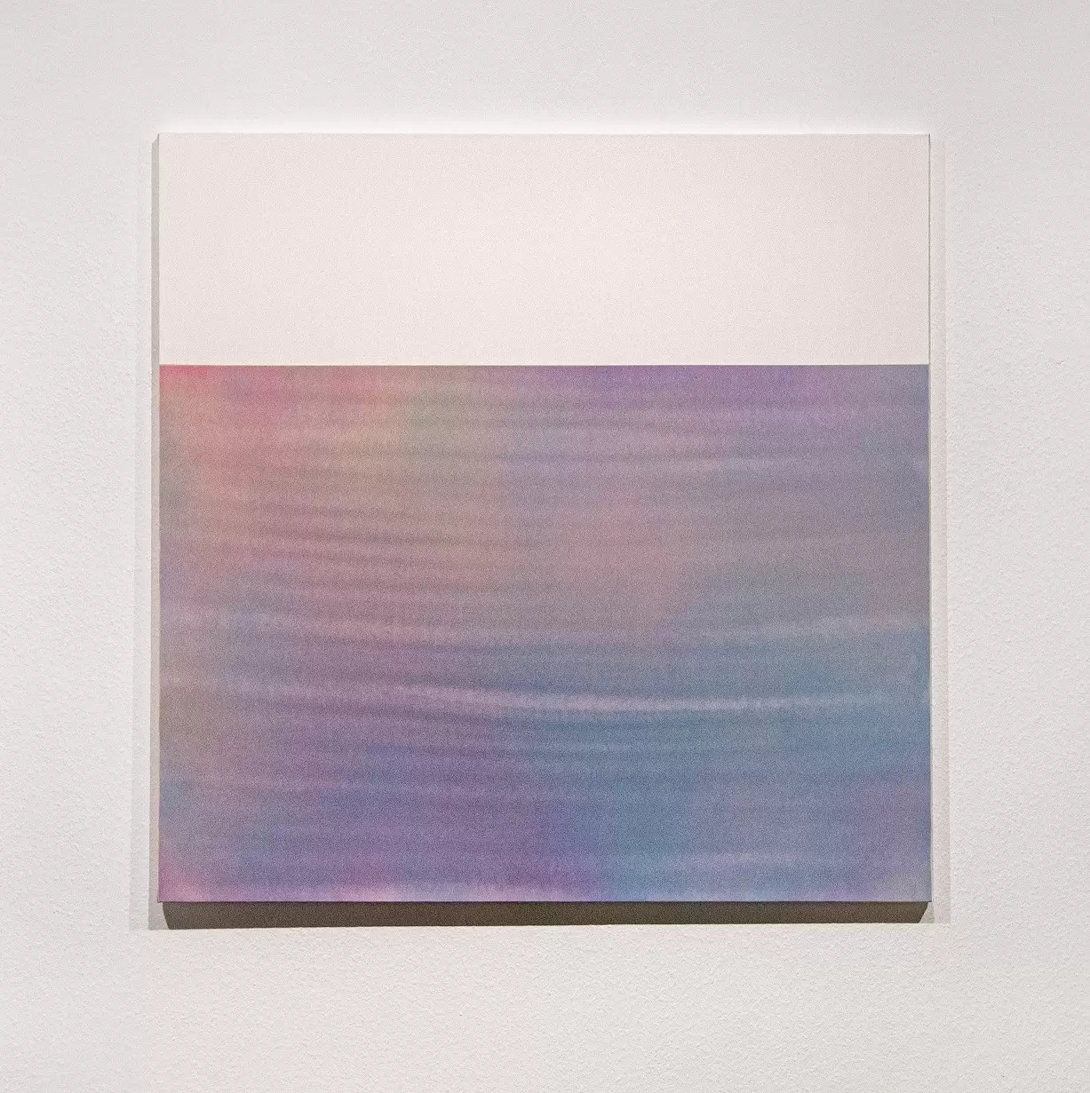 Introspection S4004