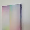 Introspection SM2601