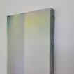 Introspection SM2607
