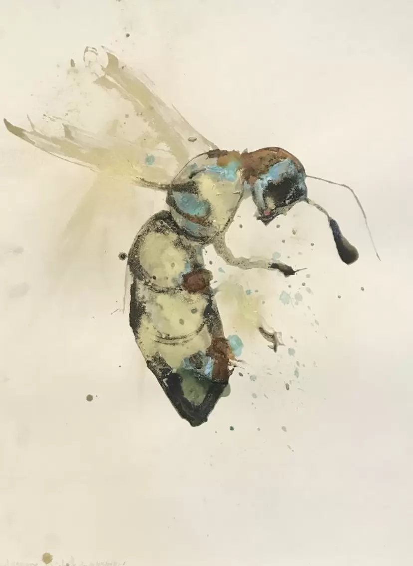 Abeille du 20-03-2022 by リオネル・サバテ