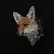 Proof of Life -キツネ-