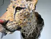 Proof of Life -ヒョウ-