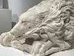 瞬き