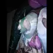 nn FACE rhapsodie