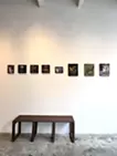 トリケラトプス