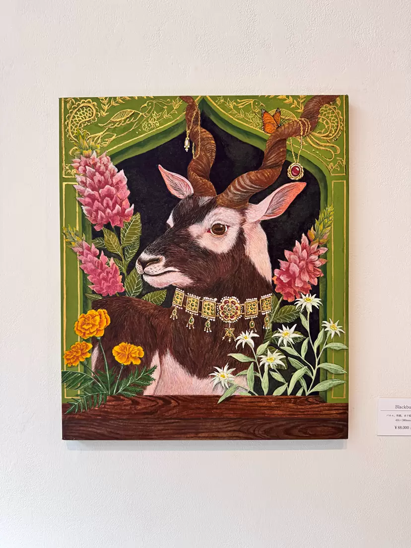 Blackbuck  by ジェイリン　祝重