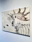 Extinction