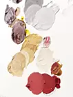 Palette "REVIVE" Soft Dinner 2