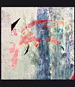TRACE：Shaken