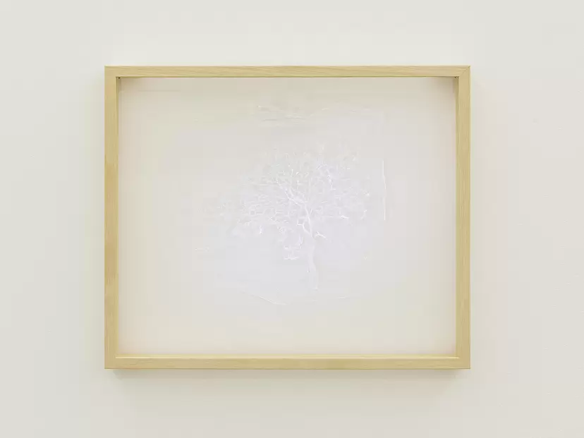 tree (from "specimen") by Masaru Aikawa