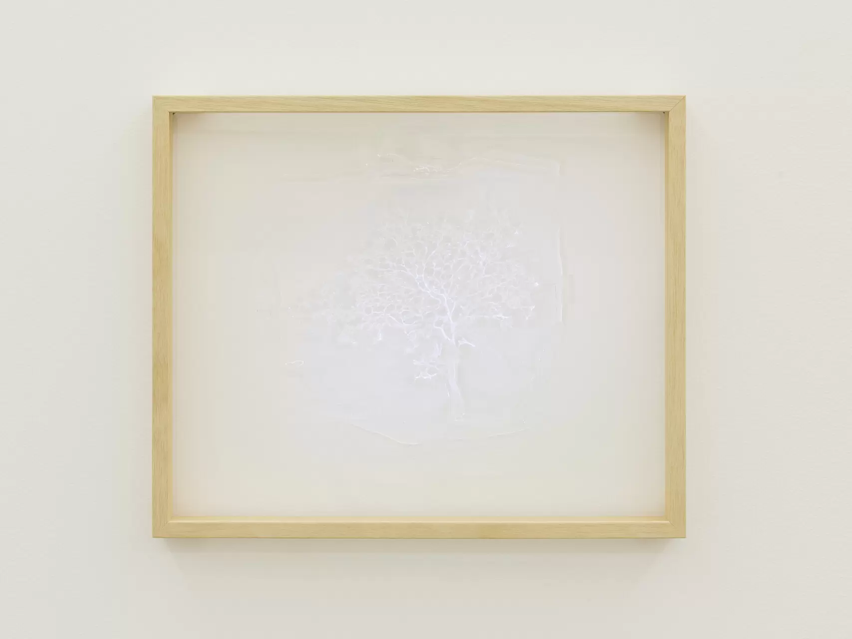 tree (from "specimen")