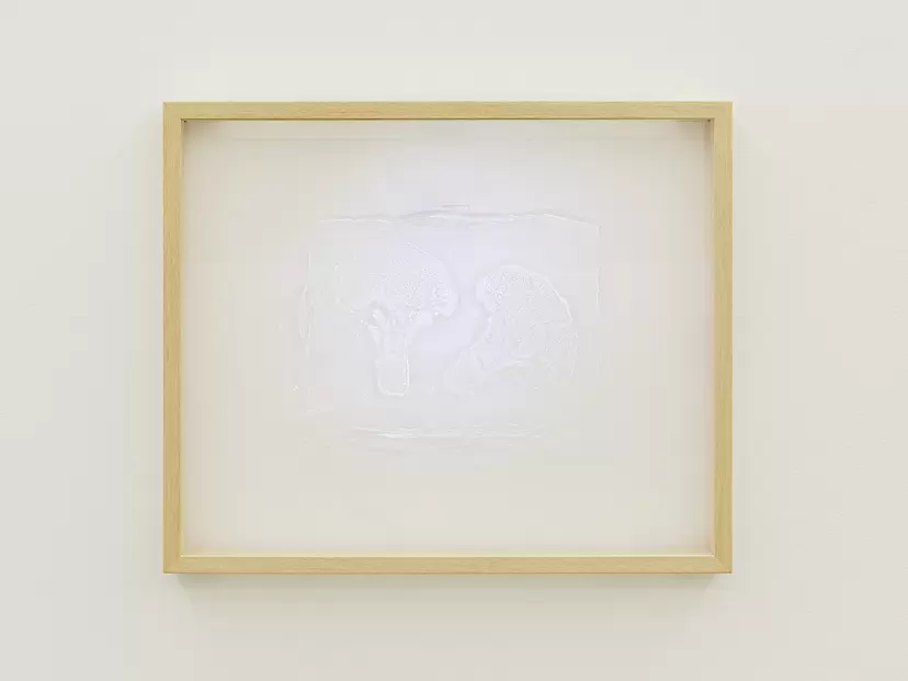 broccoli II (from "specimen") by Masaru Aikawa