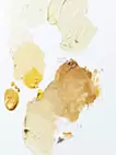 Palette "REVIVE" Soft Dinner 1