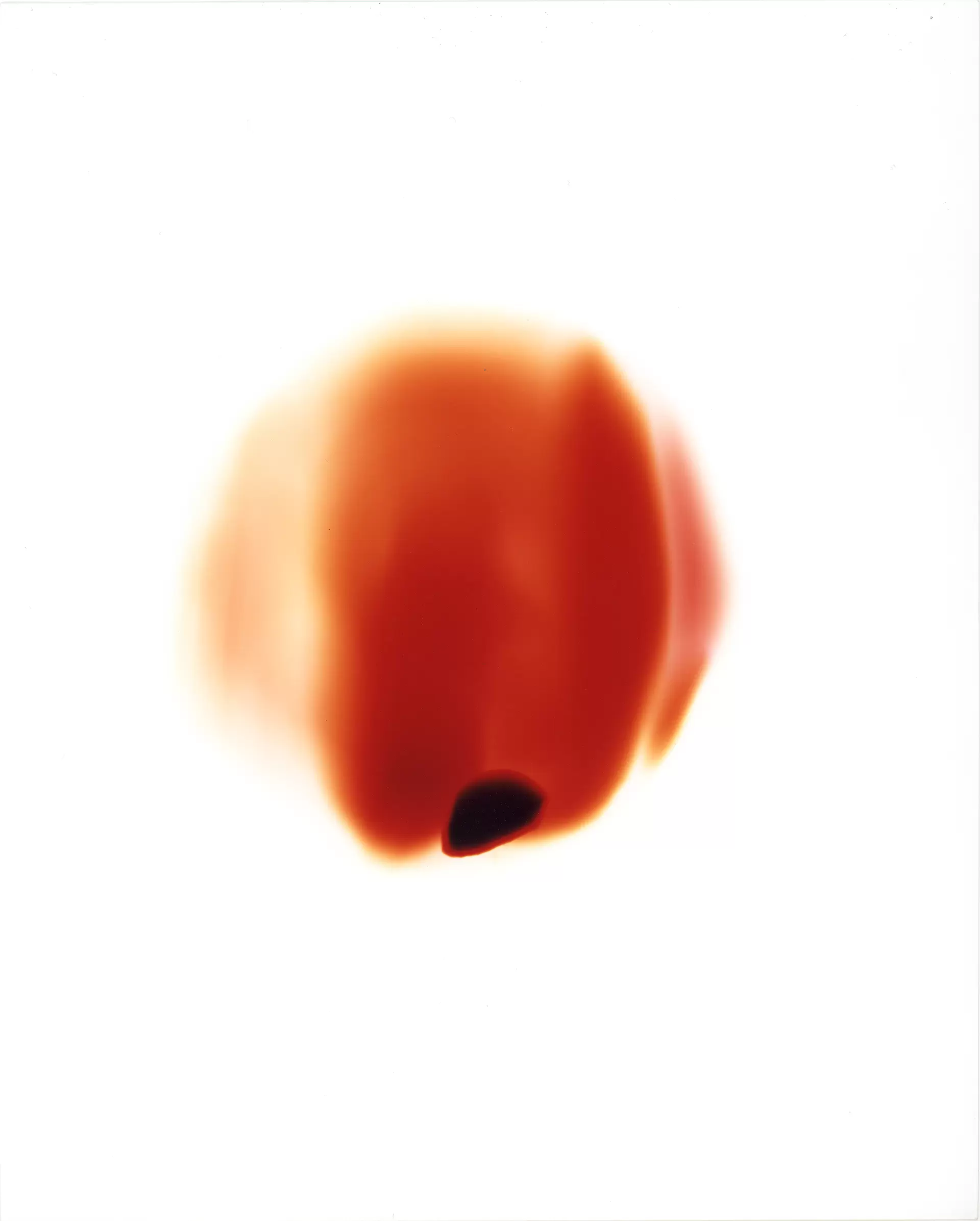 Monologue of the Light：師岡制作所 消化器の安全栓の穴から 見沼区 埼玉_2