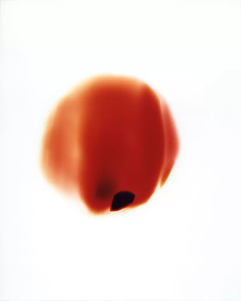 Monologue of the Light: Through the Hole in the Safety Pin of a Fire Extinguisher, Minuma Ward, Saitama by Nozomi Suzuki