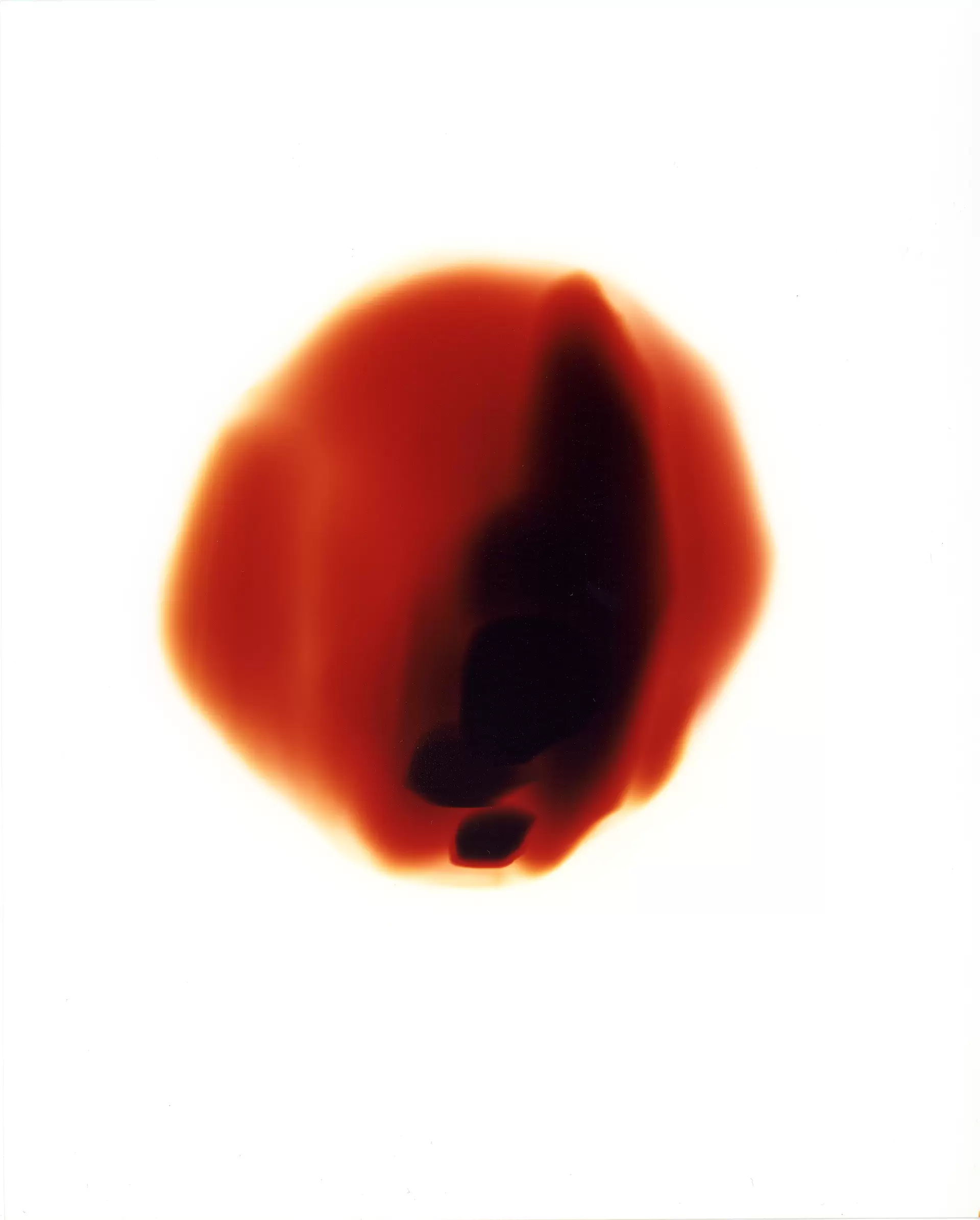 Monologue of the Light: Through the Hole in the Safety Pin of a Fire Extinguisher, Minuma Ward, Saitama