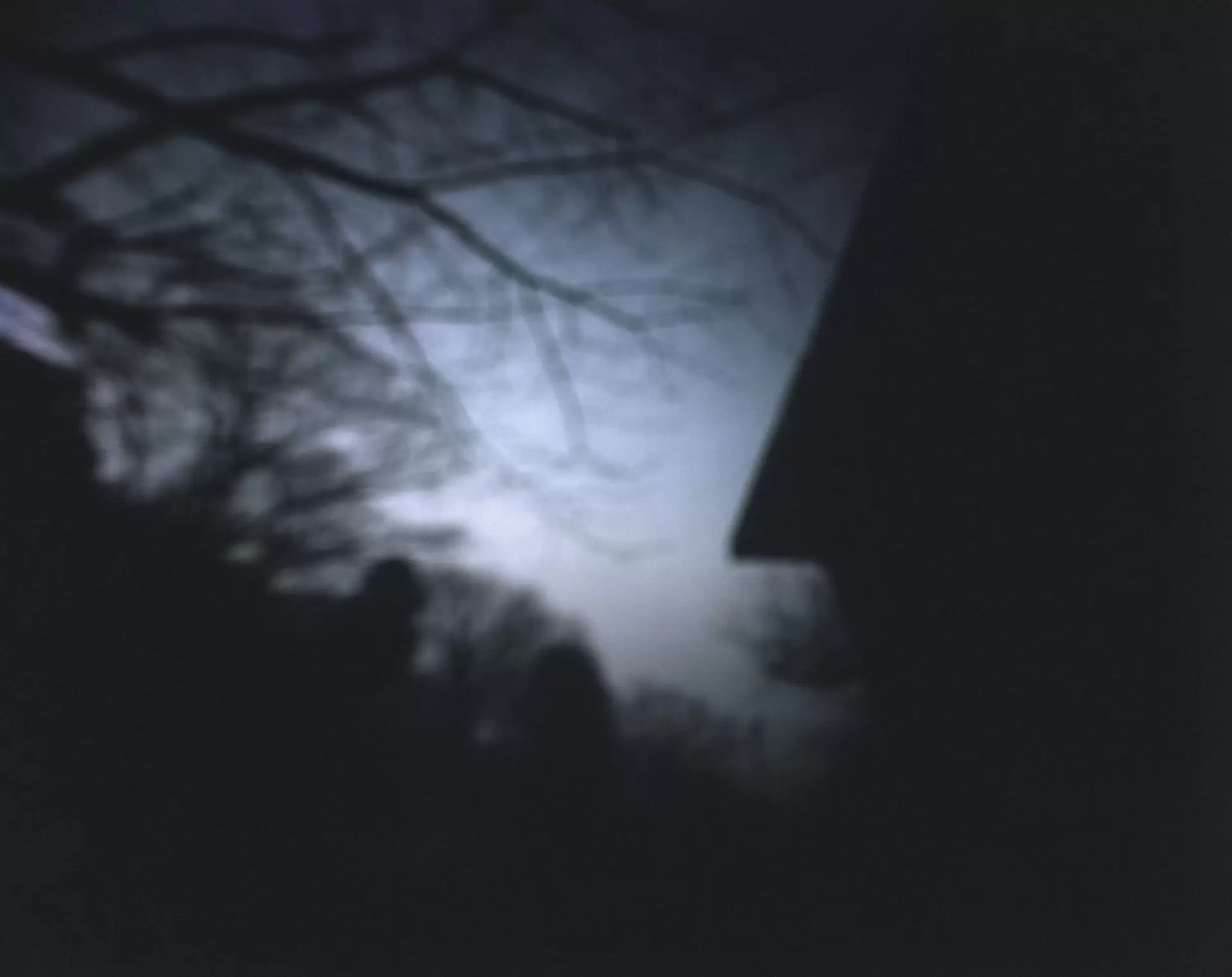 Words of Light: Through the Hole in the TEPCO Transmission Tower, Saitama