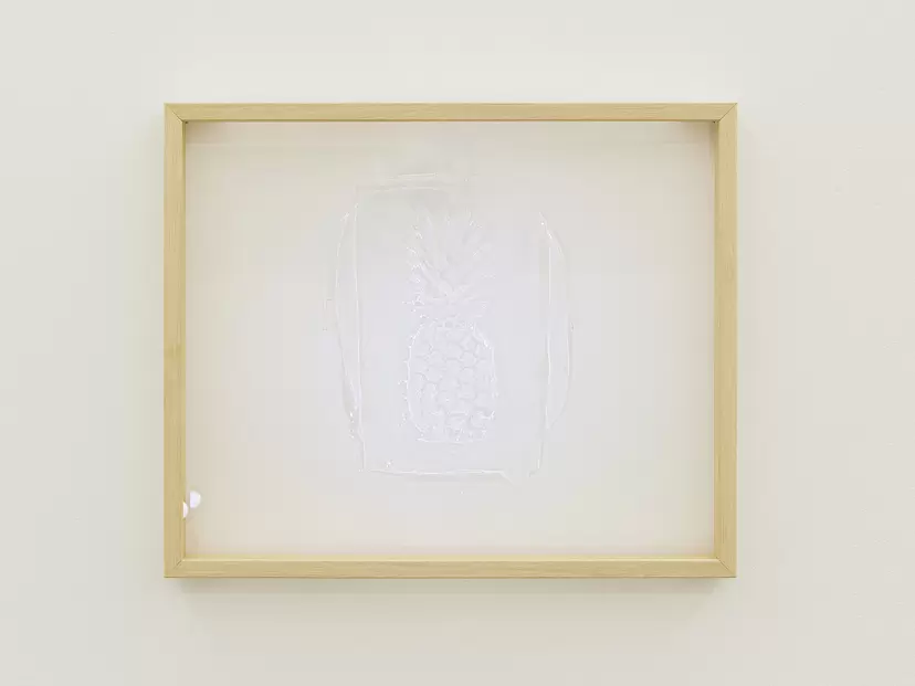 pineapple(from "specimen") by Masaru Aikawa