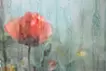 Rain-window-#19