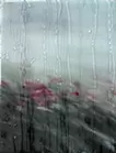 Rain-window-#21
