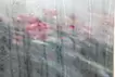 Rain-window-#21