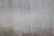 Rain-window-#21