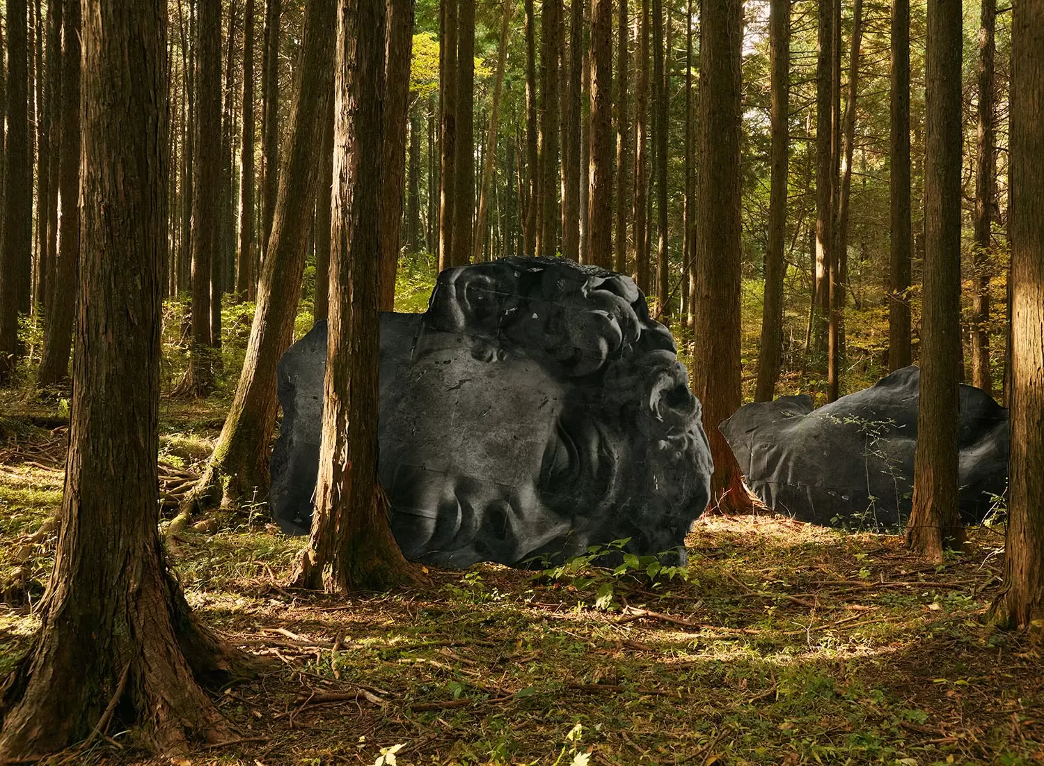 “Landscape of Momentary Sunshine with a Colossus,” from the series “COLOSSUS”
