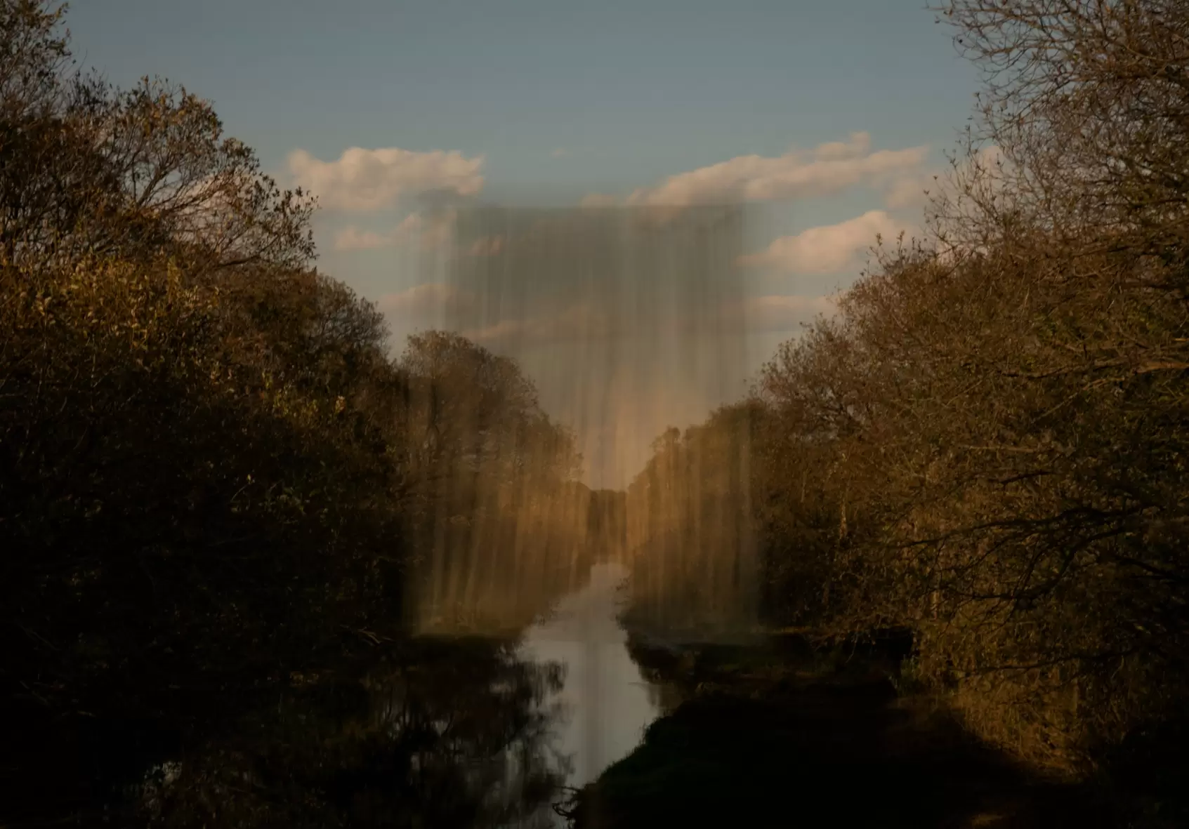 “Landscape with a Bronze Curtain in the Woods,” from the series “DESSIN”