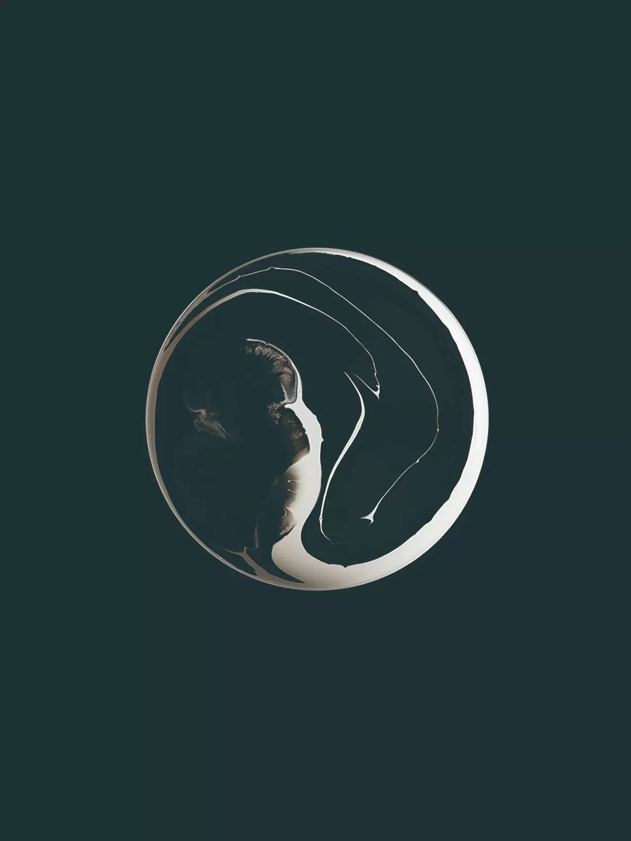 圆 0