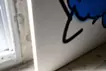 休憩中のさかな