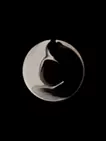 圆 7